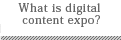What is digital contents expo?