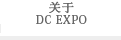 关于 DIGITAL CONTENT EXPO