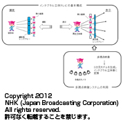 インテグラル立体テレビ